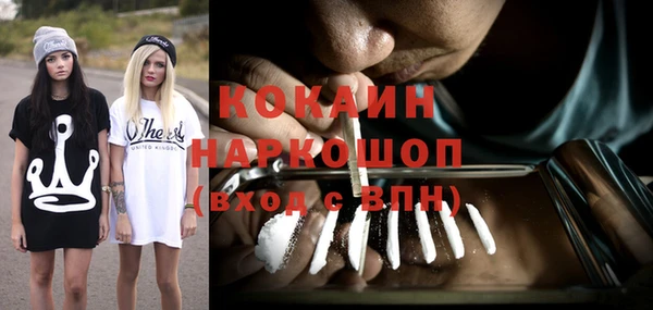 прущие грибы Абаза