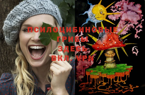 ГАЛЛЮЦИНОГЕННЫЕ ГРИБЫ Кулебаки