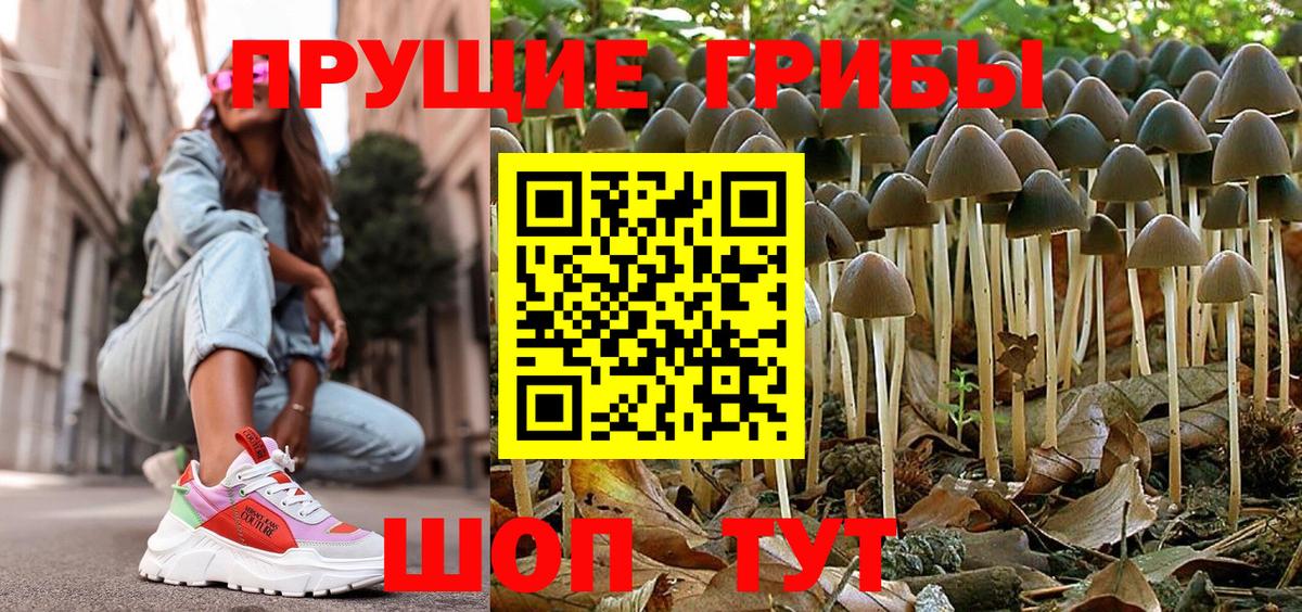 Псилоцибиновые грибы Cubensis  Вход с VPN  Елизово 