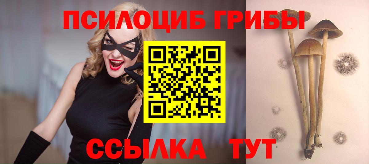 Галлюциногенные грибы мицелий Елизово